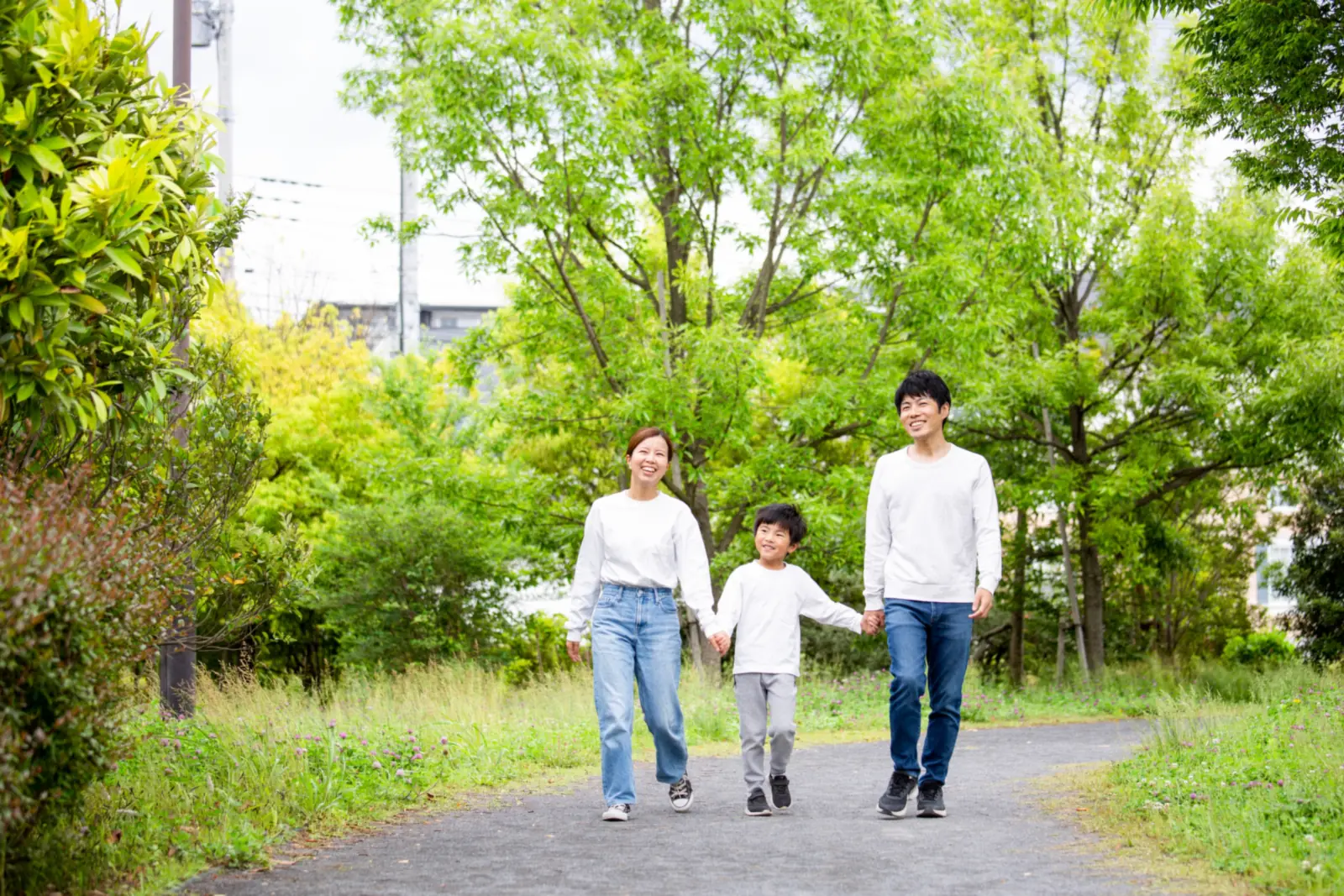 新緑の公園を手をつないで歩く家族